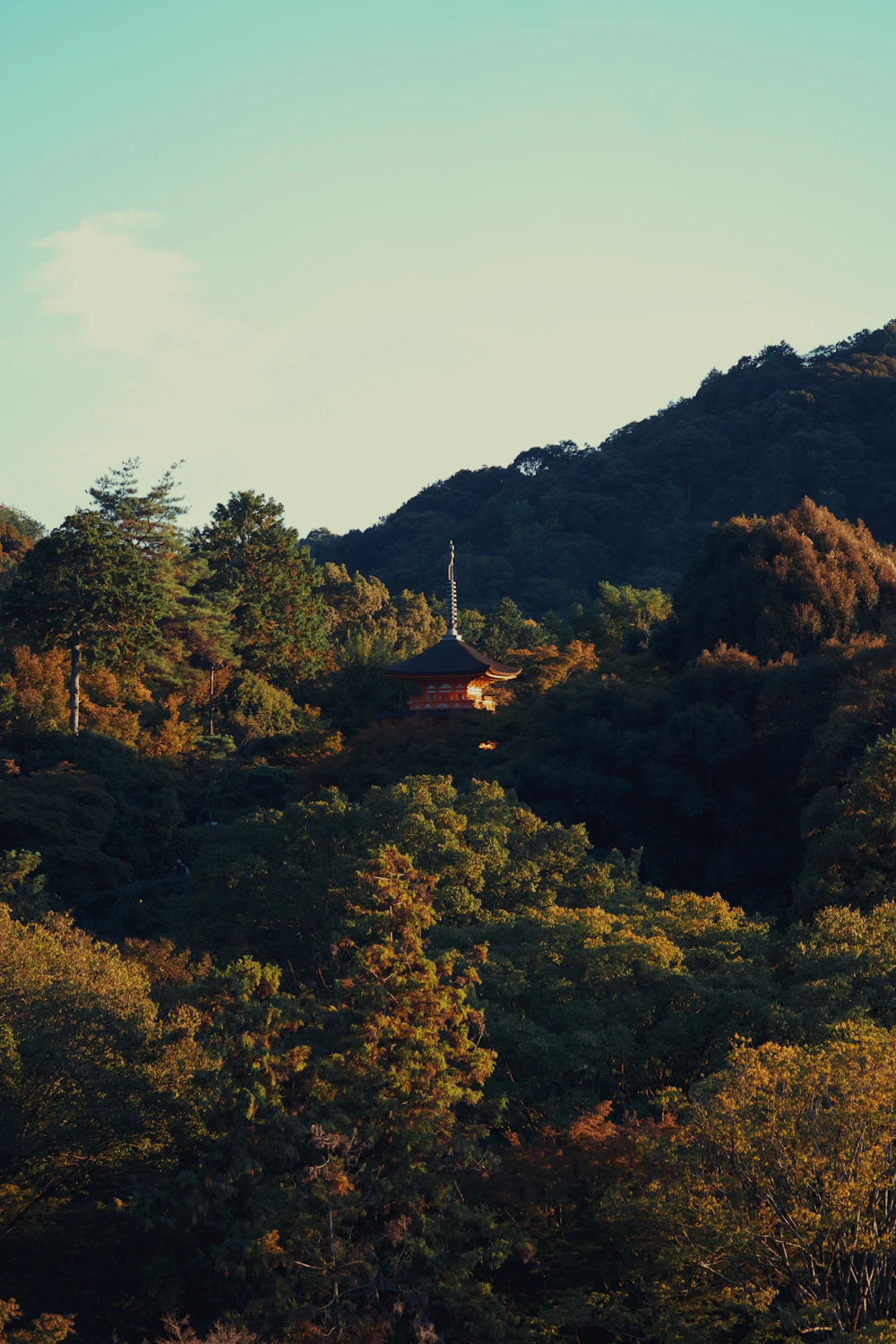 紅葉に囲まれた京都の風景